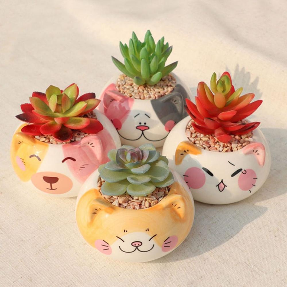 Table Decor Ornament Flower Planter Garden Supplies Bonsai Accessories Flowerpot Succulent Potted