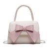 Textured niche messenger bag 2025 spring and summer this year popular bag bow foreign style mini bag design sense