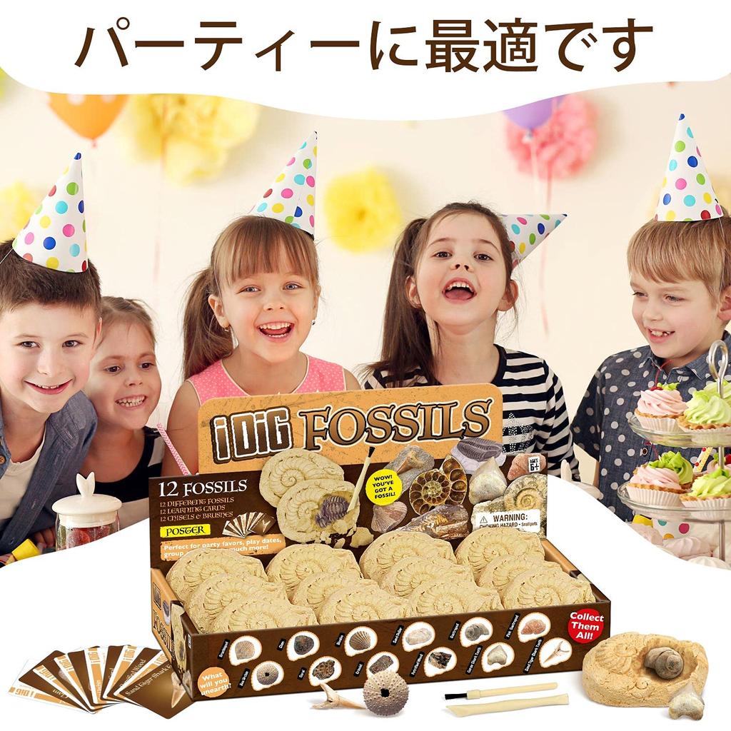 XXTOYS Fossil Excavation Fossil Fossil Excavation Natural Fossil Excavation Excavation Set of Gift Kit, Specimen, Kit, Set, Toy, 12, Paleontology,