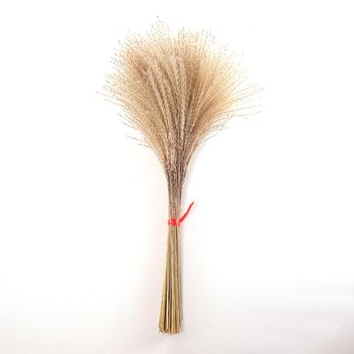 Natural Dried Pampas Grass Reeds Flower, Boho Room Decor Reeds Grass Floral
