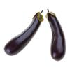 2pcs Simulated Aubergines Fake Vegetable Durable Eggplants Props for Photography