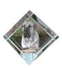 Boerboel, South African Mastiff – Crystal Cube with a Photo, Photo of a Horse In Crystal |