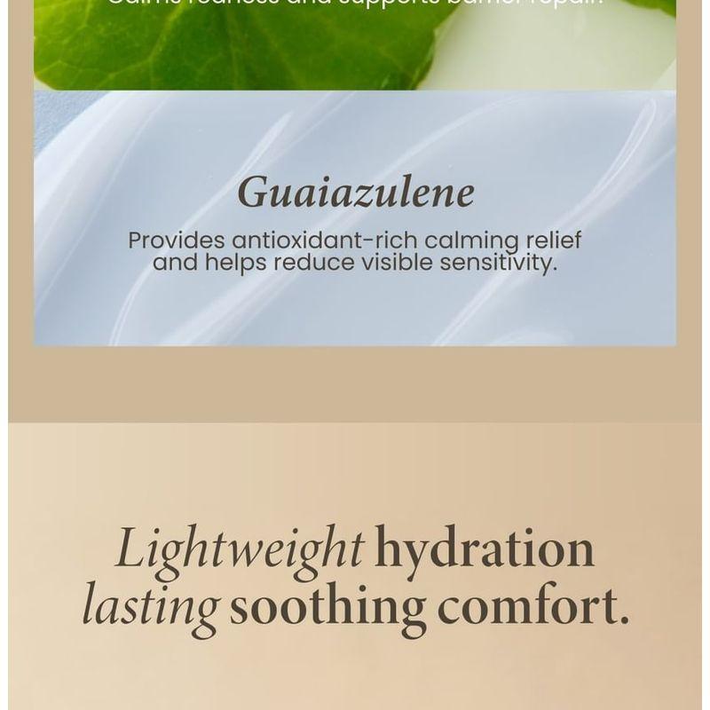 AXIS - Y - Heartleaf My Type Calming Cream