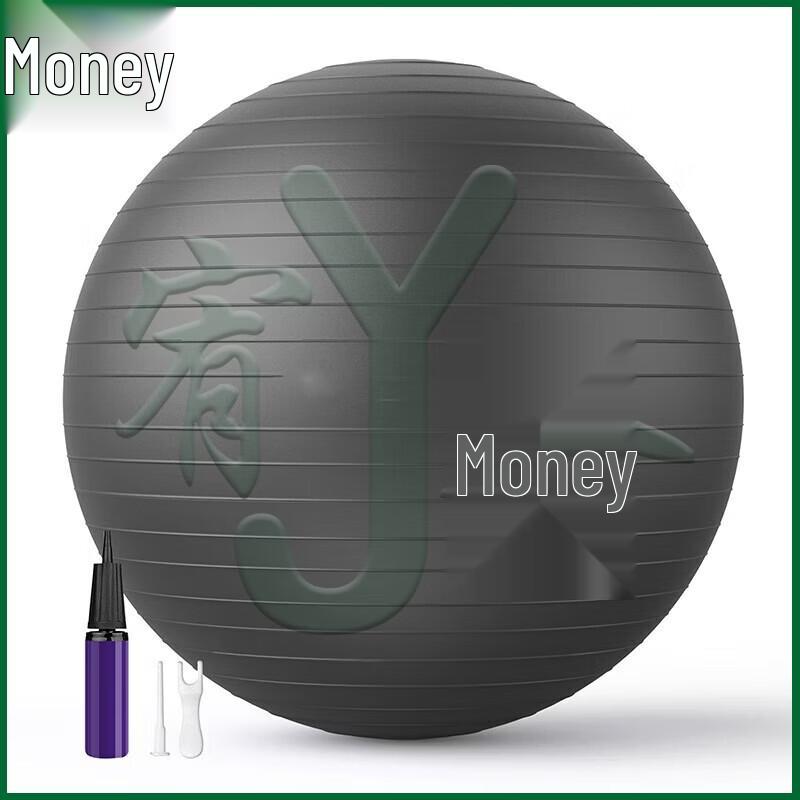 

Youjin Thickened Anti-Burst Yoga & Fitness Ball
