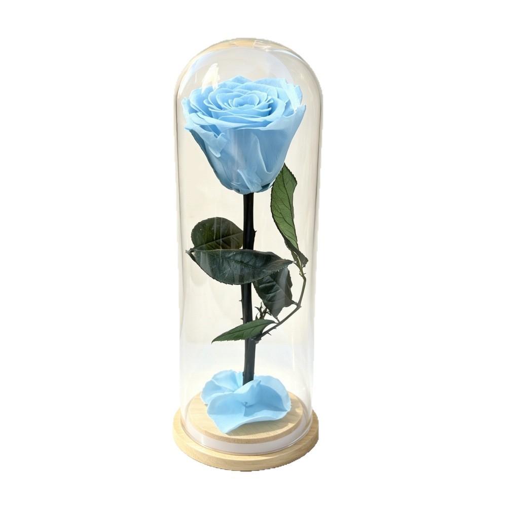 Fiore Immortale Rosa Il Piccolo Principe Cupola di Vetro Festa della Mamma San Valentino Ramo Singolo Rosa Immortale