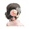 Hair Ornament, Yukata, Japanese Style Hair Ornament, 5-piece Set, Pearls and Tassels [4 Colors Available] Compatible with Yukata/furisode/hakama