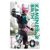 Kamen Rider Transformation Sound Card Selection Assortment Set EX-2 Toy