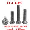 M2 M3 M4 M5 M6 M8 X 6-100mm lengte TC4 GR5 Titaniumlegering Schroeven Knopkop Zeskant Inbusbout Schroef Fiets Motor