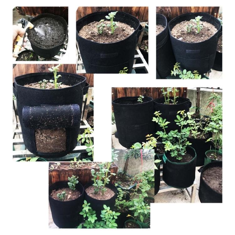 Potato Non-Woven Grow Bags Vegetable Portable Planting Bag 4/7/10 Gallon Bags