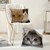 Cute Animal Cat Pillow Case Office Cushions Suitable For Sofa Car Bedroom Decorative Cushion Cover
