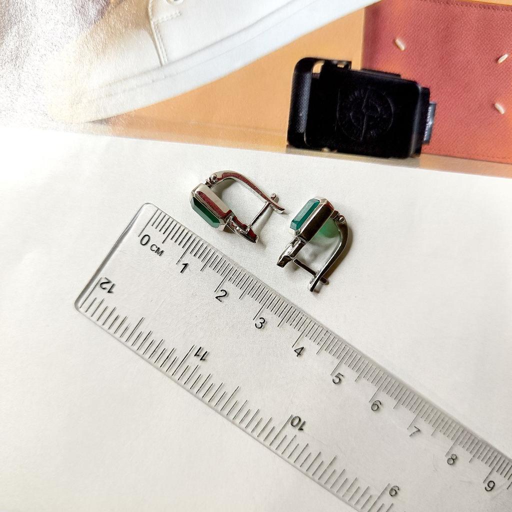 Silver Earrings with Natural Agate 2.938ct (2174059)