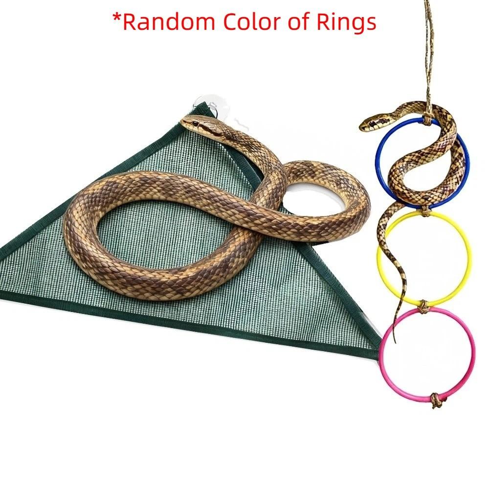 Suction Cup Reptile Hammock with Rope Snake Enrichment Toys Rings Swing Perch  Geckos 3 Rings Green Net