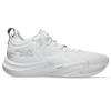 NOVA SURGE LOW 2 Basketball Shoes 1061A051 100 Cm 2E [Asics] Men's (White/Pure Silver) 24.0