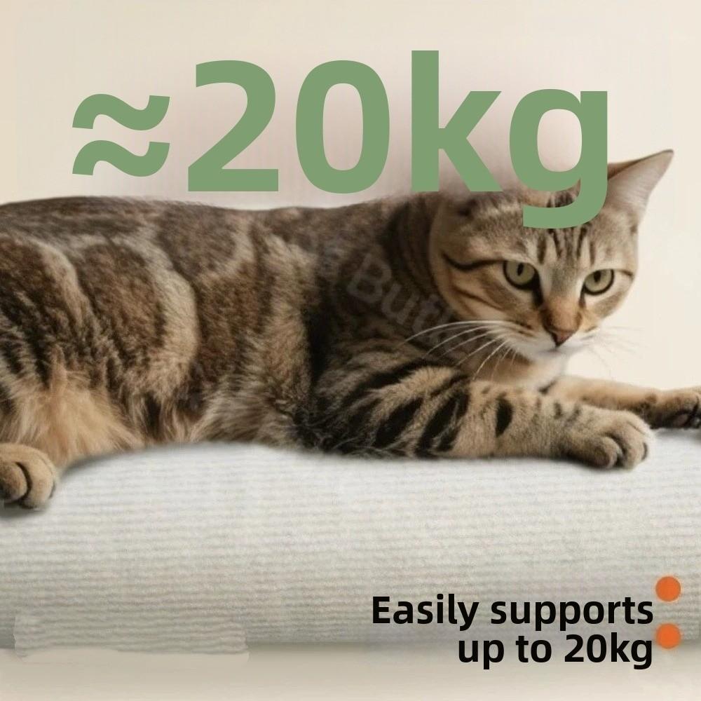 Ścienny drapak dla kota Odporny na zużycie Drzewko do wspinaczki dla kota Zabawka dla kociaka