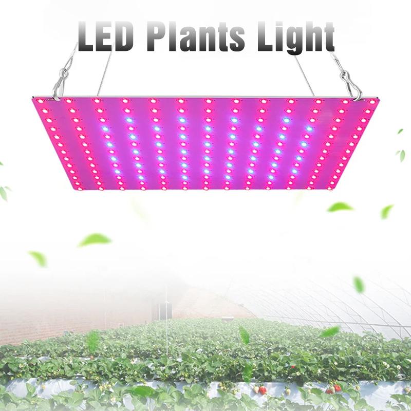 LED Plant Grow Light 169LEDs Full Spectrum Hydroponic Greenhouse Plants Growing Lamp Veg Flower Indoor Ultrathin Panel Phytolamp