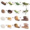 Realistic Sea Turtle, Frog, Snail, and Chick Growth Cycle Figurines for Kindergarten Montessori Learning