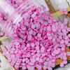 Craft Factory Sale 5mm Resin Polymer Clay Fruit Slices DIY Accessories for Nail Art Decoration Use As Souvenir Style Artificial