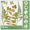 Handmade Pressed Flower Bookmark and Epoxy Sticker Pack with Real Leaf and Plant Specimens for DIY Face Makeup.