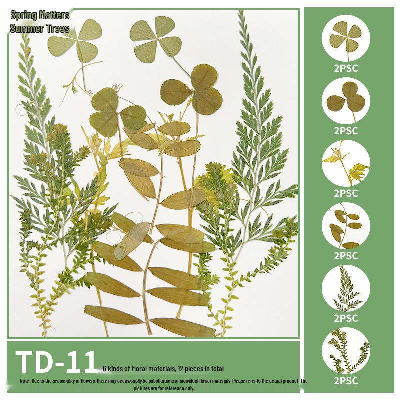 Handmade Pressed Flower Bookmark and Epoxy Sticker Pack with Real Leaf and Plant Specimens for DIY Face Makeup.