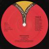 12inch Record TINA B  Bodyguard VE7004 VENDETTA 1988 US Dance  Electronica Used