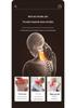 Portable Neck and Lumbar Heated Kneading Massager for Home and Car