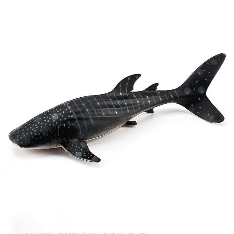 

Whale Shark Figure Model Miniature Ornament for Marine Life Extra Large Size [Nekogami-yama] - (Medium)