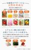 Shirokane Lactic Acid Bacteria Mud Facial 75g Facial Mineral Clay Foaming Cleanser Strawberry and Rose Geranium Made in Japan for Men and Women