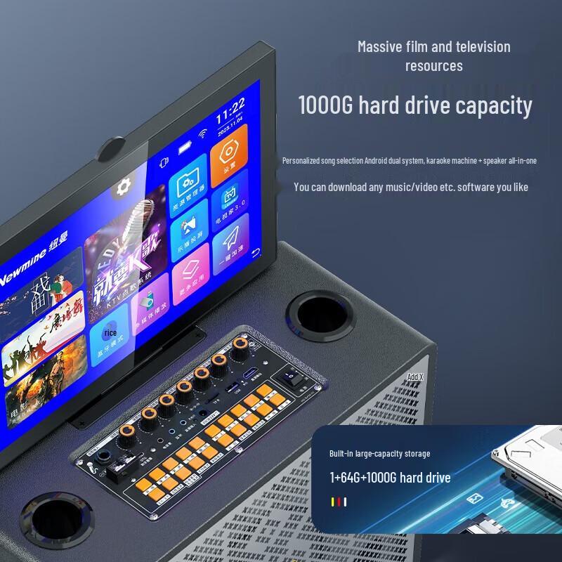 Newmine N523 Home KTV Audio System