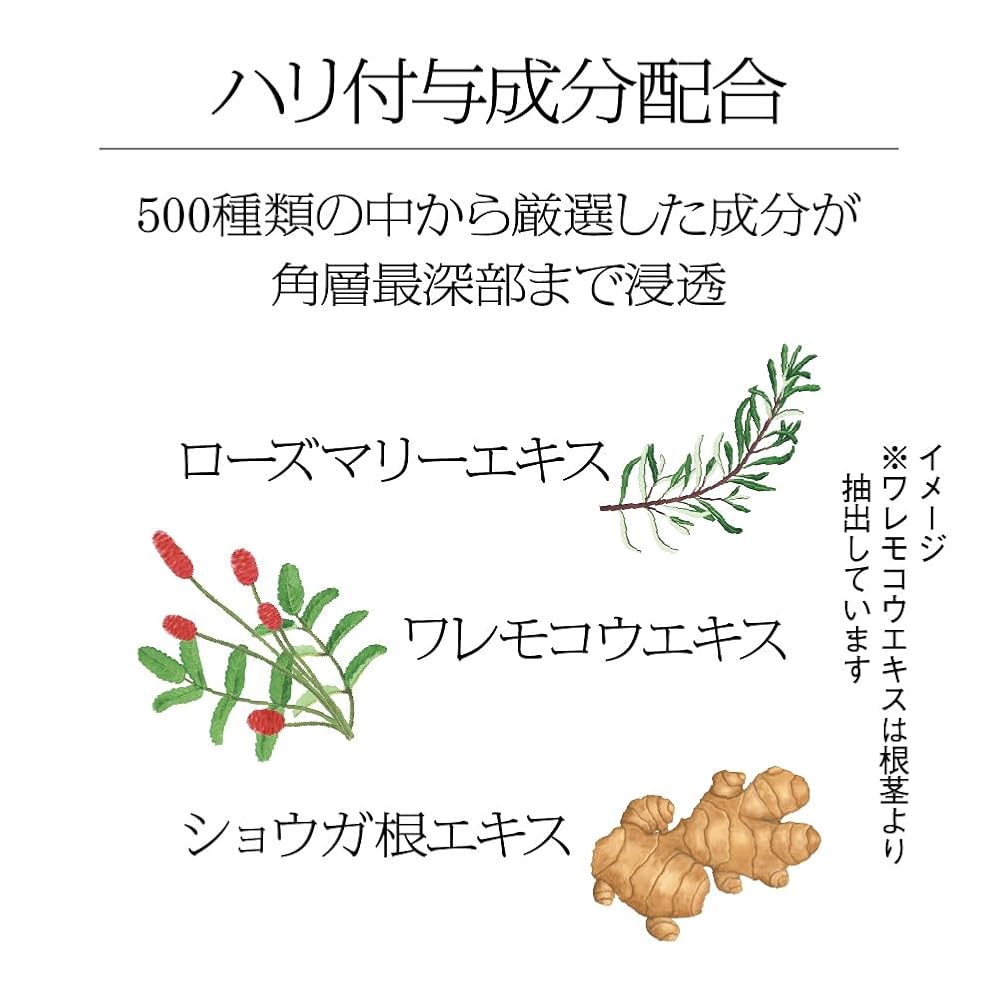 Sofina iP Authentic Japanese Product B0CCJBHQKR