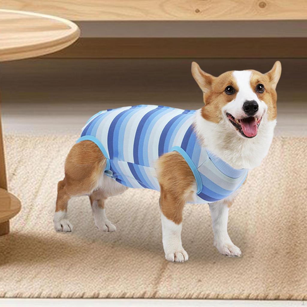 Dog Indoor Recovery Suit, Pet Supplies, Clothes, Outfits, Coat, Soft Vest, Surgery