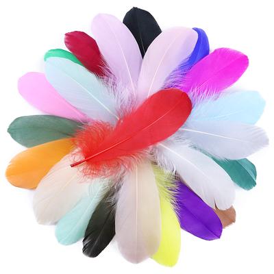 Piume d'Oca Naturali 10-15CM Piuma di Cigno per Decorazione Casa Artigianato Fai da Te Accessori Gioielli Matrimonio 50 Pezzi 100 Pezzi