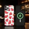 Watermelon Art Phone Case For iPhone 17/16/15/14/13/12/Plus/Pro/Max for Magnetic Wireless Charging