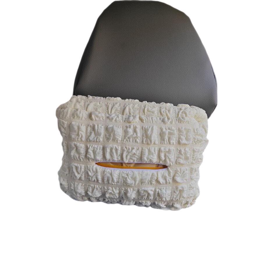 Car Tissue Holder: Armrest, Pull-out, and Sun Visor Box