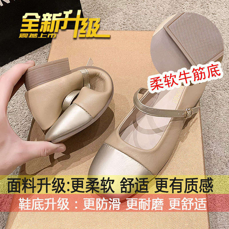 French evening breeze gentle single shoe women's new spring 2025 with skirt Mary Jane women's shoes pumps leather shoes