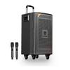 BD-H1069A Portable KTV Bluetooth Trolley Speaker