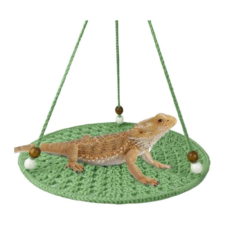 Draghi Barbuti Lucertole Amaca Rettili Terrari Habitat Decorazione
