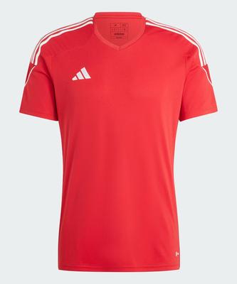 Fußball – Fußballwesten