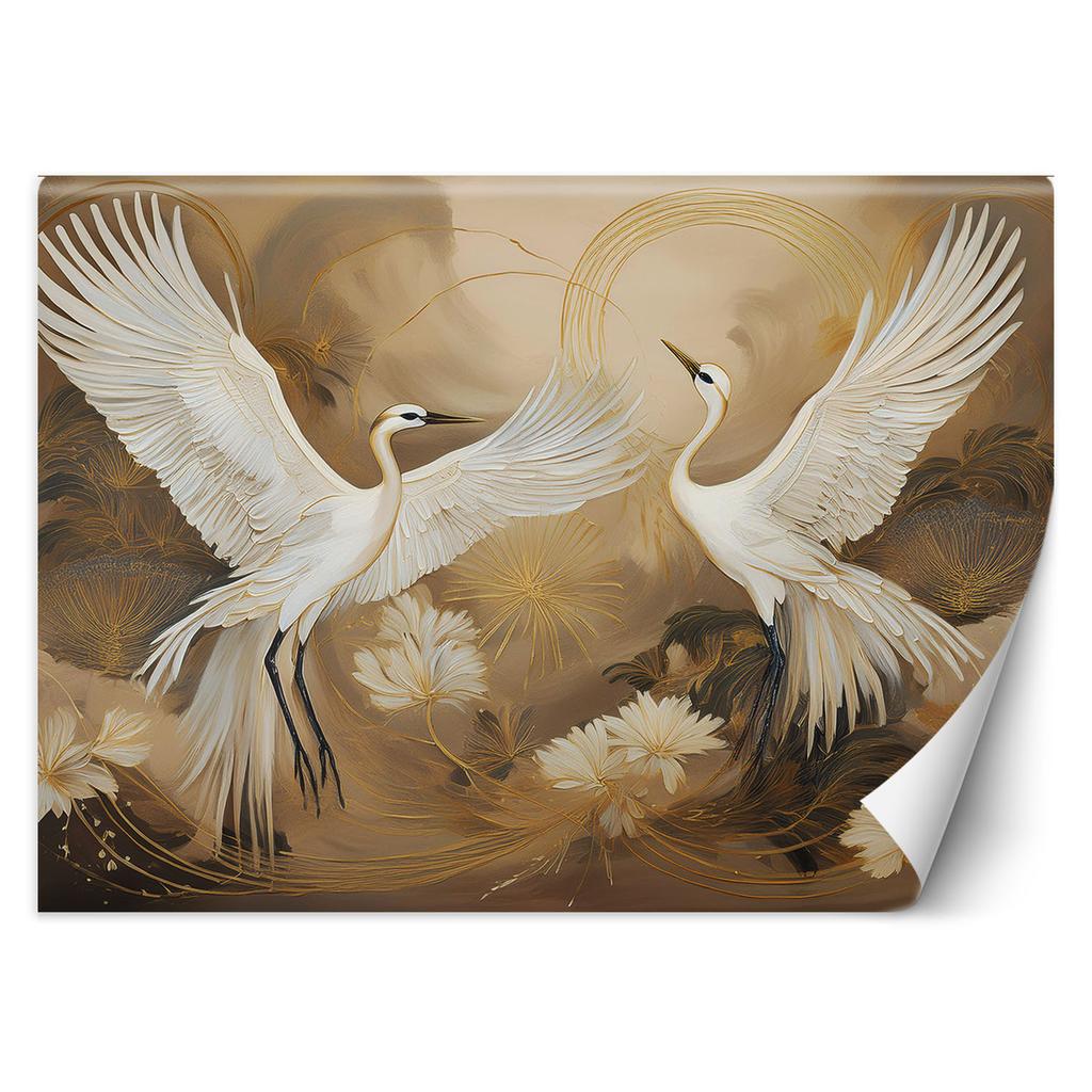 Wallpaper Cranes Birds Animals