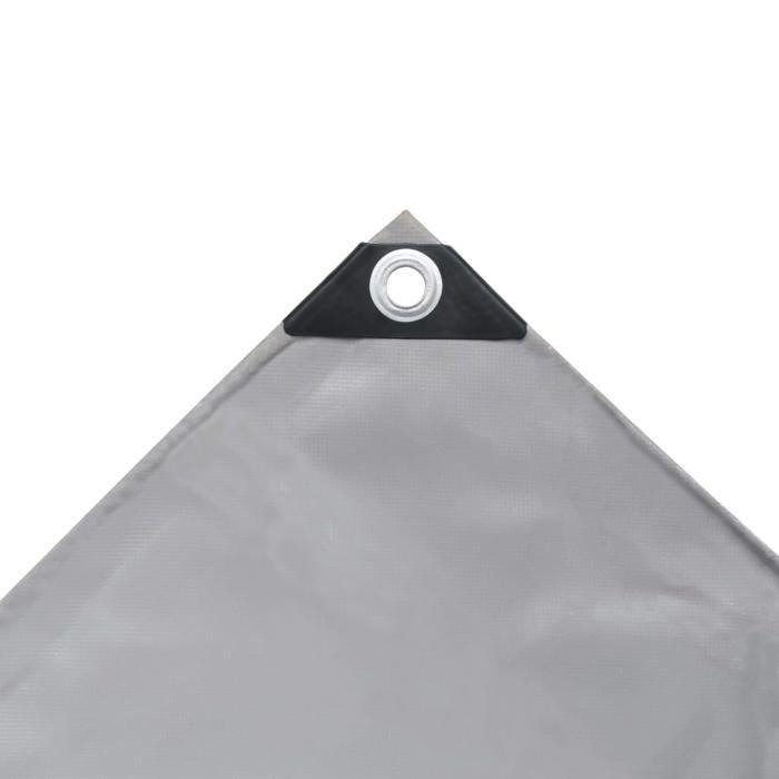 VidaXL Bâche 650 g / m² 3 x 4 m Gris