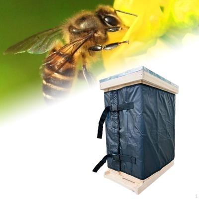 Insekter – Biavl