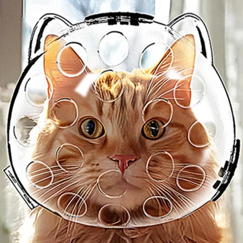 Tragbarer transparenter Anti-Biss- und Kratz-Katzenkopfschutz für den Außenbereich, hohles Design, atmungsaktiv und wärmeableitend, Katzenhelm, vielseitiges Haustierzubehör