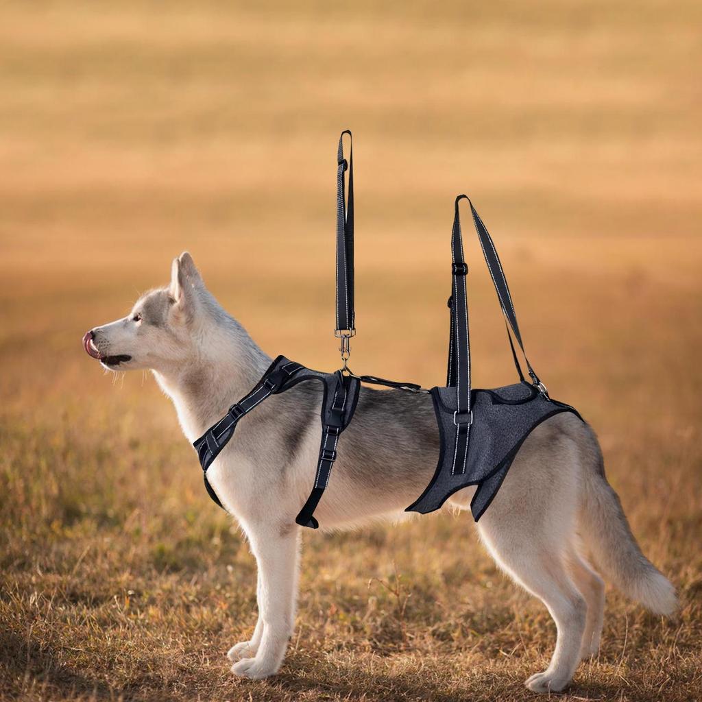 Dog Full Body Lift Support Sling Carrying Aid Vest Brace For Injured Mobility-Challenged Disabled Recovery Rehabilitation Train