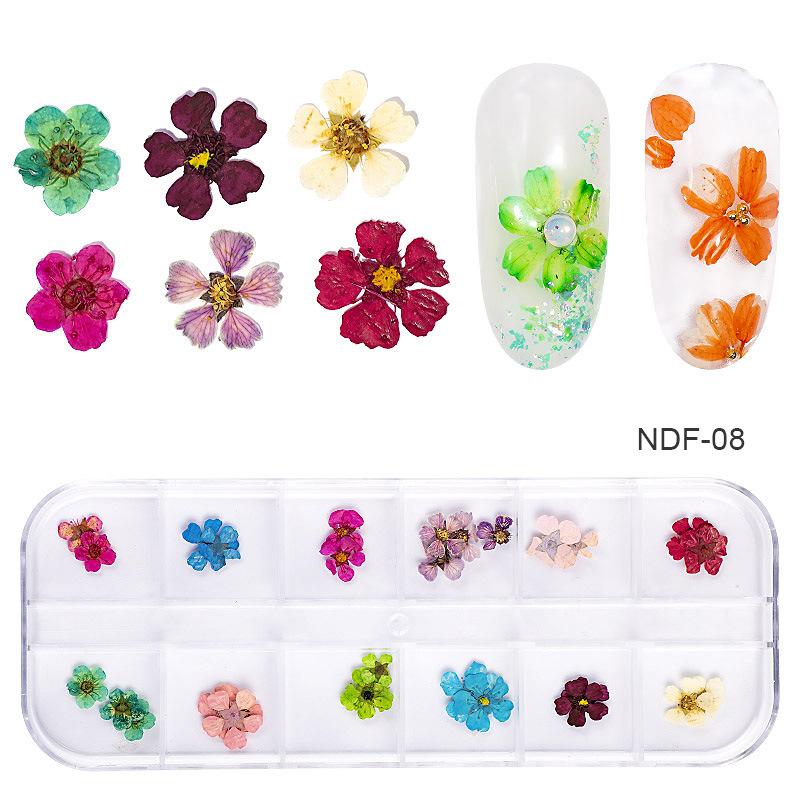 1Box Dried Flowers Dry Plants for Rsein Molds Fillings Epoxy Resin Pendant Tweezers Jewelry Making Craft DIY Nail Art Decoration