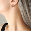Light Luxury Retro Titanium Gold U-Shaped Rhinestone Geometric Earrings for Women