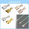 Automotive Brass Tinned Spade Terminal Connectors For Wiring Harnesses
