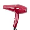 9869 Salon-Quality High Power Hair Dryer with Constant Temperature & Dual Air Modes