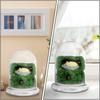 DOITOOL Glass Cloche Dome Bell Jar with Airhole and Base: 2 PCS Glass Terrarium Planter Container Decorative Clear Terrarium Planter for Plants,