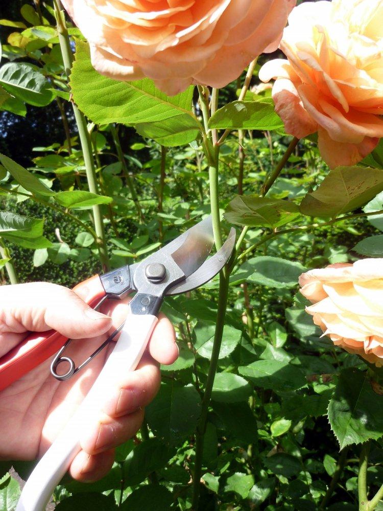 Okatsune Pruning Shears 200mm NO.103