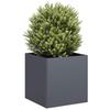 Pot, Anthracite, 40X40X40 Cm, Cold Rolled Steel