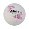 Mitre 2024 Intercept Nettball